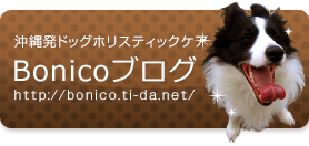 Bonicoブログ