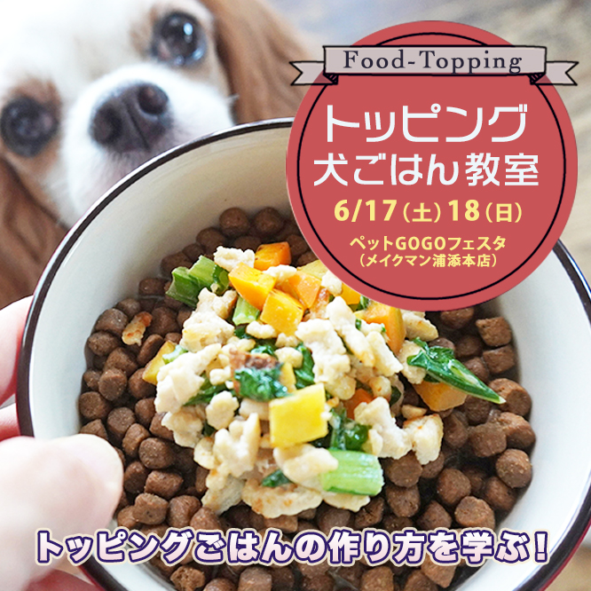 トッピングごはん